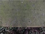 image of grave number 609999